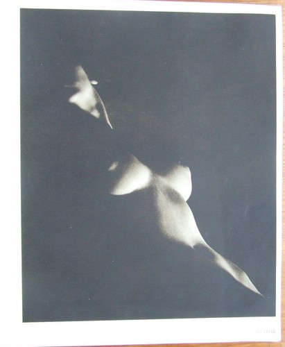 Grande fotografia originale